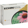 Echin Royal 20 Bâtonnets Cfn