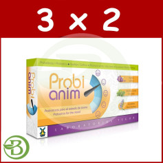 Pack 3x2 Probianim 40 Gélules Tegor