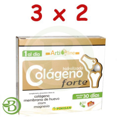 Pack 3x2 Collagène Forte 30 Gélules Pinisan