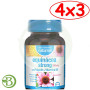 Pack 4x3 Equinacea Strong 500Mg 90 Comprimidos Naturmil