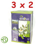 Pack 3x2 Ecodiet Té Verde Bio 20 Filtros Nova Diet