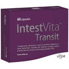 Intestvita Transit 60 Gélules Vitae