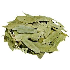 Feuilles de Sen 1Kg Pinisan