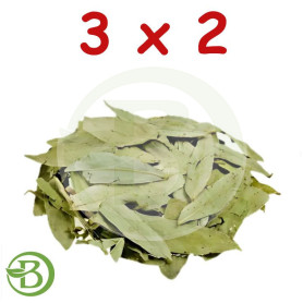 Pack 3x2 Sen Hojas 1Kg Pinisan