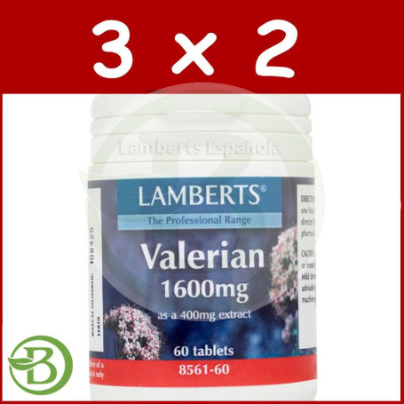 Pack 3x2 Valeriana Lamberts