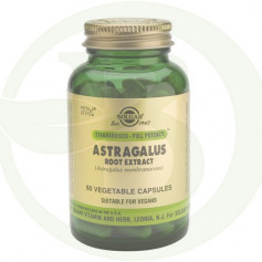 Astragalus Root 60 Gélules Solgar