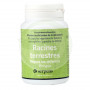 Racines Terrestres Tabebuia Adenophilla 90 Capsules 300Mg. Serpens