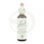 Bach Étoile de Bethléen Fleurs 20Ml. Bach