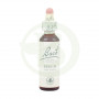 Flores de Bach Beech (Haya) 20Ml. Bach