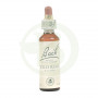 Flores de Bach Wild Rose (Rosa Silvestre) 20Ml. Bach