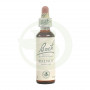 Fleurs de noyer de Bach 20Ml. Bach