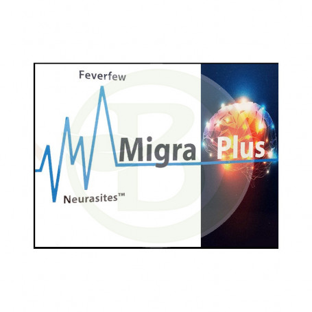 Migraplus 45 Gélules Espadiet