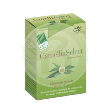 Camellia Select 60 Gélules 100% Naturel