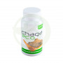 Chaga Eco 45 Gélules Plantis