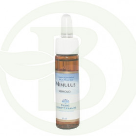 FM Mimulus (Mimulo) 10Ml. Forza Vitale