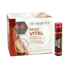 Flacons Magvital 20 Marnys