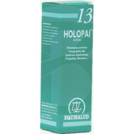 Holopai 13 31Ml. Equisalud